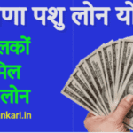 Haryana Pashu Loan Yojna
